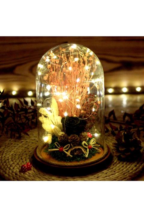 Murat Hediyelik Ters Fanus Şıklığı Peri Ledli Siyah Solmayan Gül