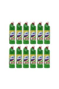 Domestos Çamaşır Suyu Dağ Esintisi 750 Ml 12 Li Set