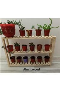 Abant wood Sukulent Ve Kaktüs Rafı