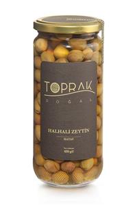 Toprak Doğal Halhali Zeytini 480 g Hatay