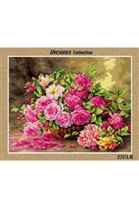 Zweigart Orchidea Goblen Kiti (40x50cm) + 55 Renk Anchor Muline