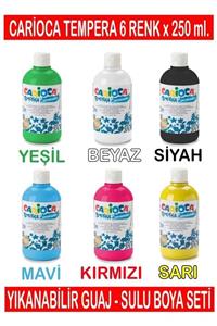 CARIOCA Tempera Yıkanabilir Sulu Boya Seti 6 Renk X 250 ml.