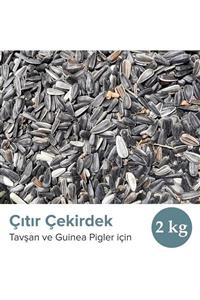 Vixpet Tavşan Ve Guinea Pig Çıtır Çekirdek 2 Kg