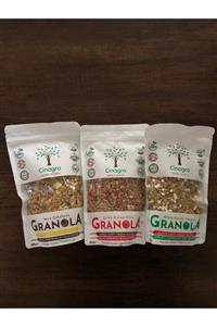 Cinagro Goodies Granola Muz Çikolata, Çilek Kinoa Chia, Elma Ceviz Tarçın, 300 Gr