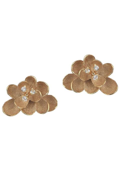 Roberto Bravo Cloud Altın Küpe