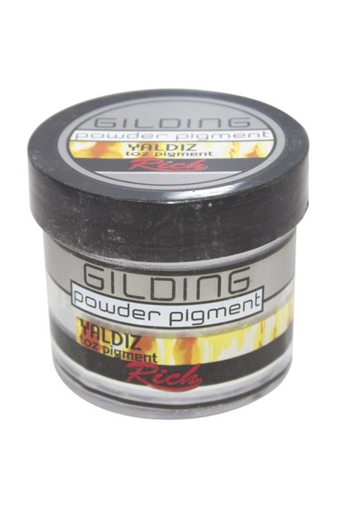 Rich Gıldıng Powder Pigment 60 Cc Gümüş
