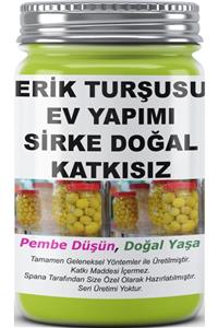 SPANA Sirke Ev Yapımı Katkısız Erik Turşusu  800gr