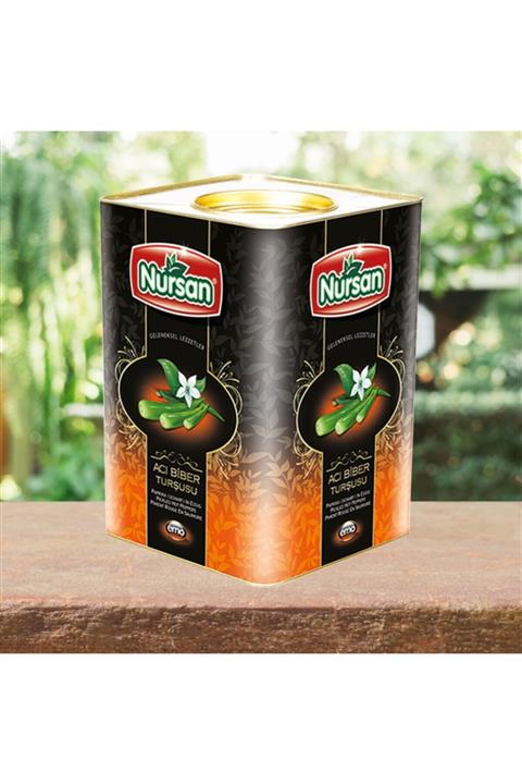 Nursan Gıda Yakan Biber Turşusu 17 Kg
