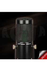 Ally Mobile Aq210 Condenser Stüdyo Profesyonel Kayıt Ve Yayın Mikrofonu Studio