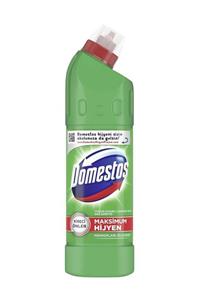 Domestos Çamaşır Suyu Dağ Esintisi 750ml-810 gr