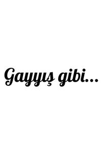 Quart Aksesuar Gayyış Gibi Oto Sticker Araba Cam Sticker Siyah 20 X 4 Cm