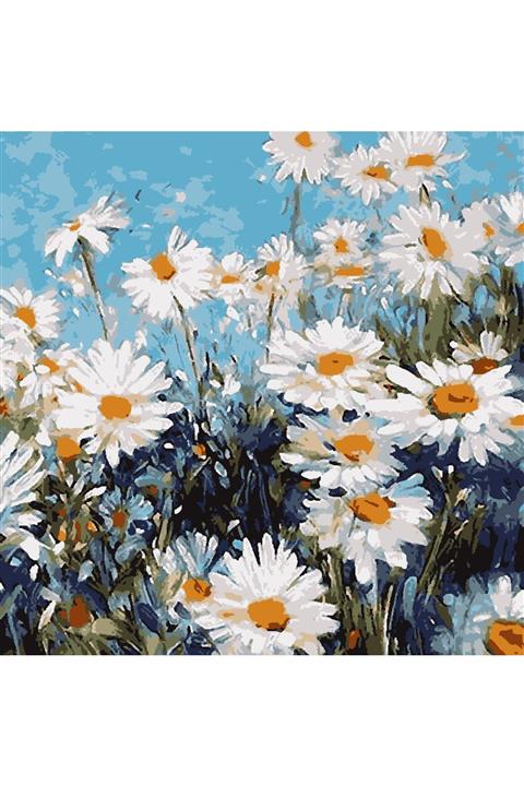 Hobi Sepeti 35x50 Şövaleli Sayılarla Boyama Seti Fırça  Tuval Şeklinde Çerçeveli