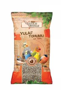 Gold Wings Yulaf Tohumu