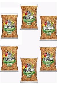 Jungle Muhabbet Kuşu Yemi 1 kg X 6 Adet