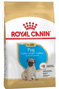 Royal Canin Royal Canın Pug Puppy Yavru Köpek Maması 1,5 Kg