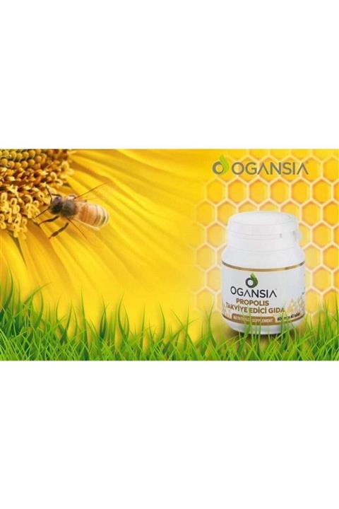 OGANSIA Propolis Ogansia 60 Tablet