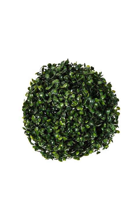 Vitale Top Yeşil Bitki Orta Boy AK.BG0124