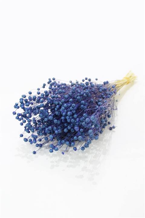 Dekorsende Kurutulmuş Luna Demeti Mavi