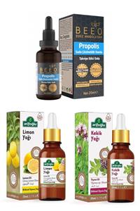 BEE'O Suda Çözünür Propolis Damla Arifoğlu Limon Yağı 20 ml