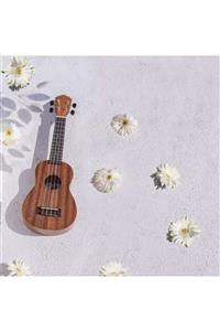 KOZMOS Kuk-110exa / Soprano Ukulele