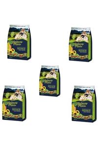 Nature Plan Hamster Yemi 800 G X 5 Adet