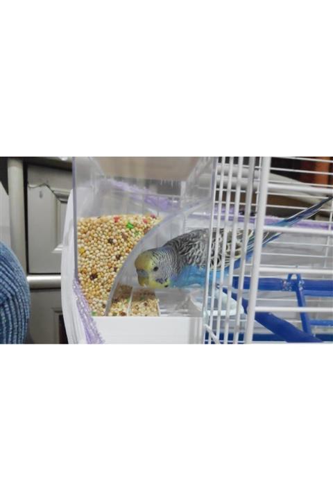 KORKMAZ Profesyonel Bölmeli Akıllı Yemlik