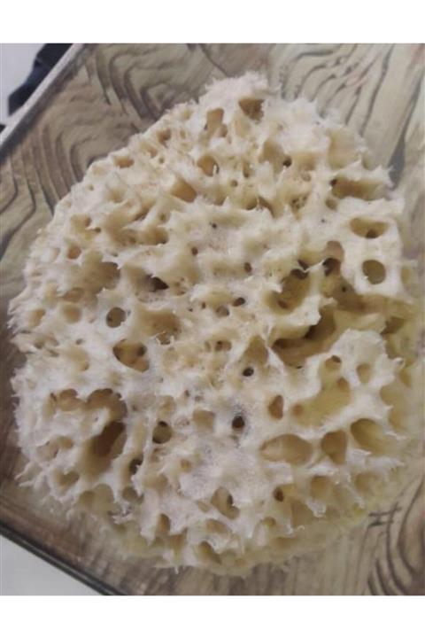 Mavi Ege Peyzaj Mavi Ege Bodrum Deniz Süngeri 50gr