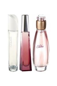 AVON Celebre Edt 50 ml Kadın + Surrender Edt 50 ml Kadın + Purblanca Edt 50 ml Kadın Parfüm 4567213987542