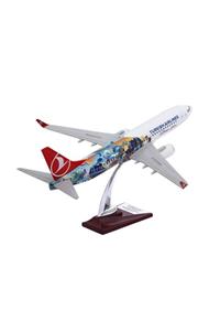 zekupp Thy Model Uçak Maketi  Özel Boeing 737 - 800 Model Uçak