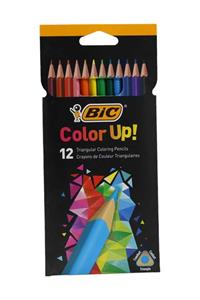 Bic Color Up Kuru Boya Kalemi 12'li Kutu