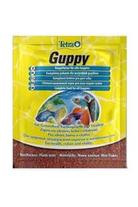 Tetra Guppy Lepistes Yemi 12 Gr.x 3 Adet