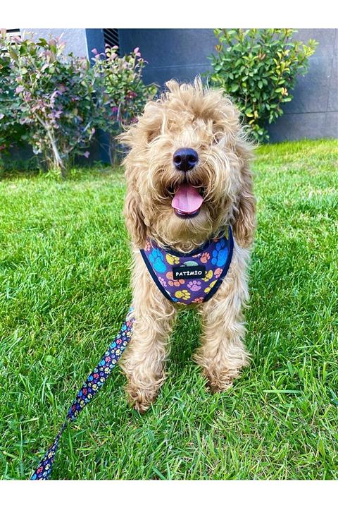 PATİMİO Paws Soft Göğüs Tasması Medium