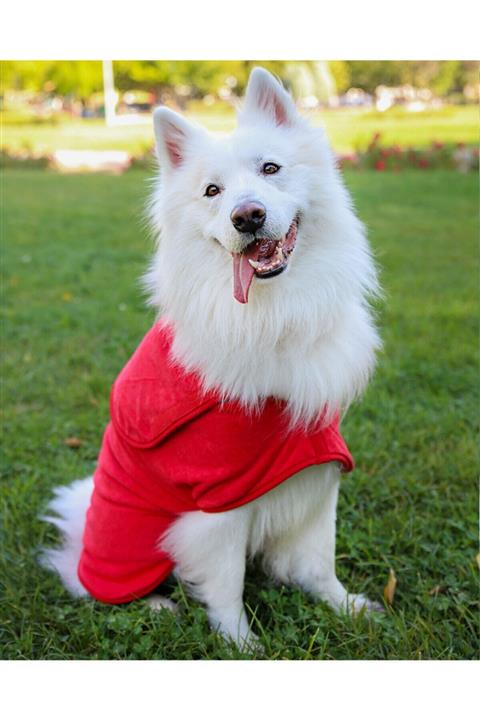 oyapet Mikrofiber Köpek Ve Kedi Kurulama Yeleği