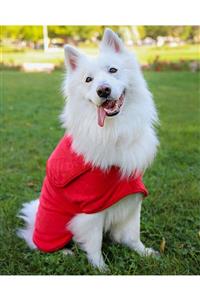 oyapet Mikrofiber Köpek Ve Kedi Kurulama Yeleği