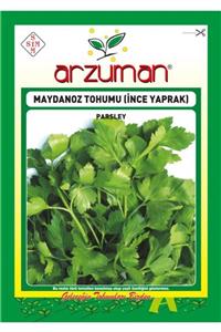 GüçlüTedarik Ince Maydanoz Tohumu 12500 Tohum 25 Gram