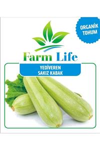 FarmLife Tohum 50 Adet Yediveren Sakız Kabak Tohumu