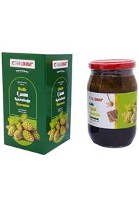 Tabib Lokman Ballı Çam Kozalağı Macunu 450gr