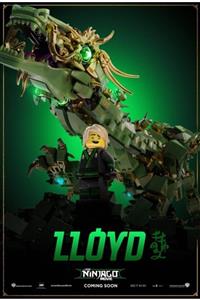 POSTER The Lego Ninjago Movie (2017) 35 X 50 Blackgreen