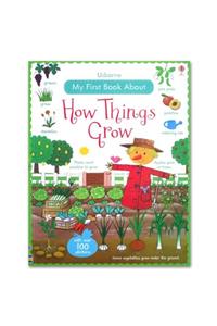 Usborne My First Book About ''how Things Grow'' With Over 100 Stickers