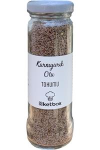 ketbox Karnıyarık Otu Tohumu 60 gr Doğal Katkısız