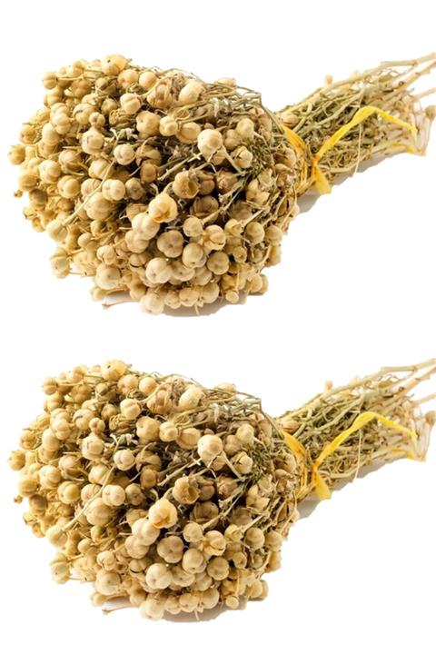 aktarloji 2 Adet Üzerlik Otu Bağ