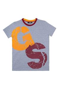 GSStore Galatasaray Çocuk Lisanslı Armalı Gri Tshirt C13708