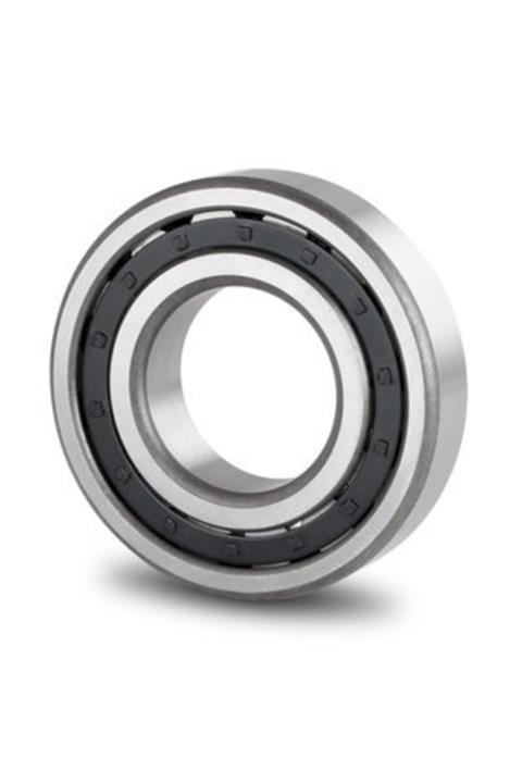 IBC Nj 312 Eap C3 Rulman