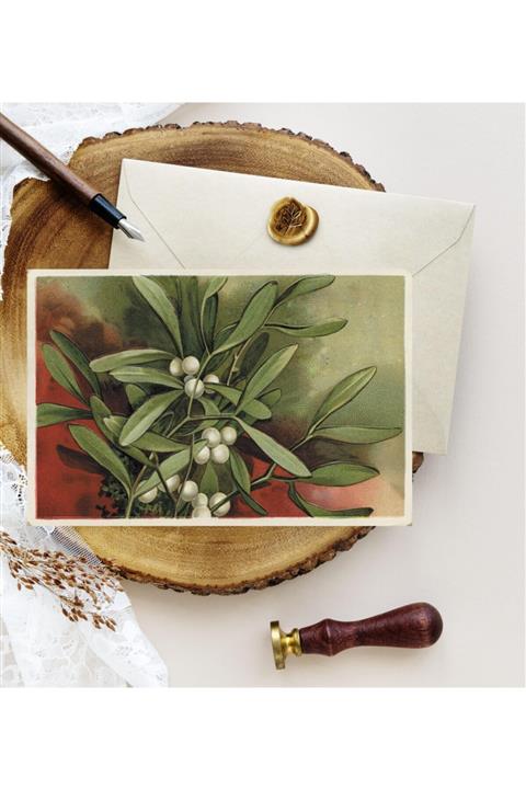 Kartpostal Kutusu 5'li Kartpostal Ökse Otu