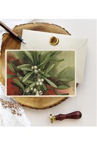 Kartpostal Kutusu 5'li Kartpostal Ökse Otu