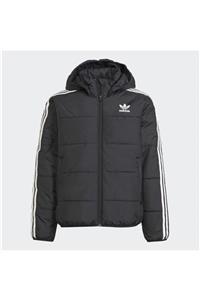 adidas Padded Çocuk Mont