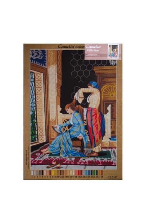 Zweigart Orchidea Goblen Kiti (50x70cm) + 79 Renk Anchor Muline