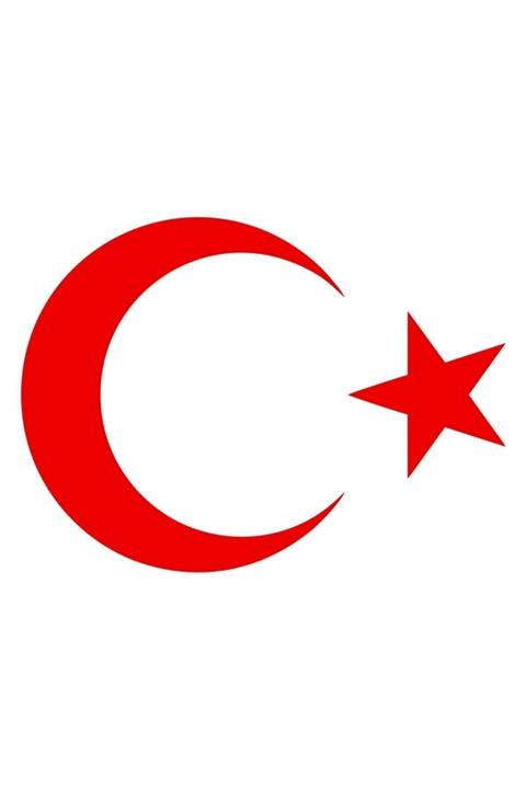 Quart Aksesuar 30 cm Kırmızı Ay Yıldız Sticker Türk Bayrağı Sticker