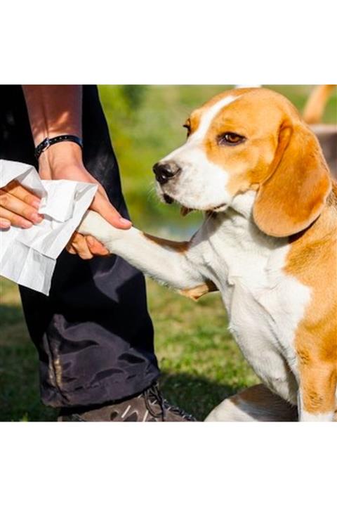 TURKDEKO Hijyenik Kedi Köpek Pati Silme Bezi
