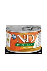 N&D Balkabağı & Bıldırcın Köpek Konservesi 140 gr